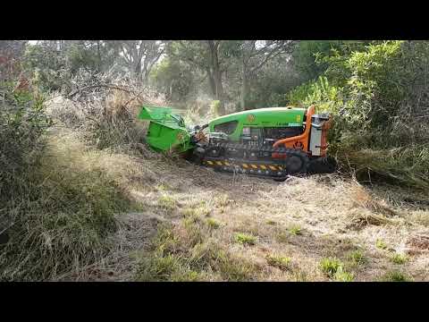 Green Climber LV500 Pro