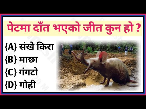 पेटमा दाँत भएको जीव कुन हाे ? Nepali gk video || gk question and answer || nepali Gk question || Gk