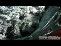Vidéo