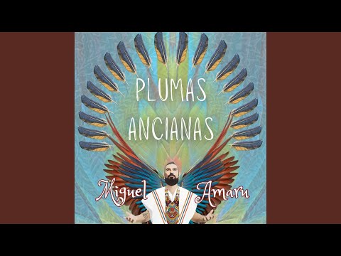Plumas Ancianas