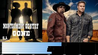 Montgomery Gentry - Gone (5.1 surround sound mix)