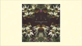 The Stargazer Lillies - Enter The Back Lodge
