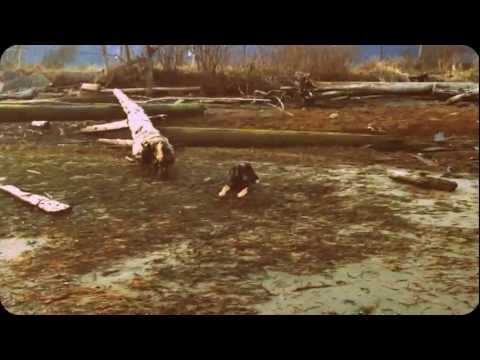 Sahib at Nexine Beach, Squamish BC