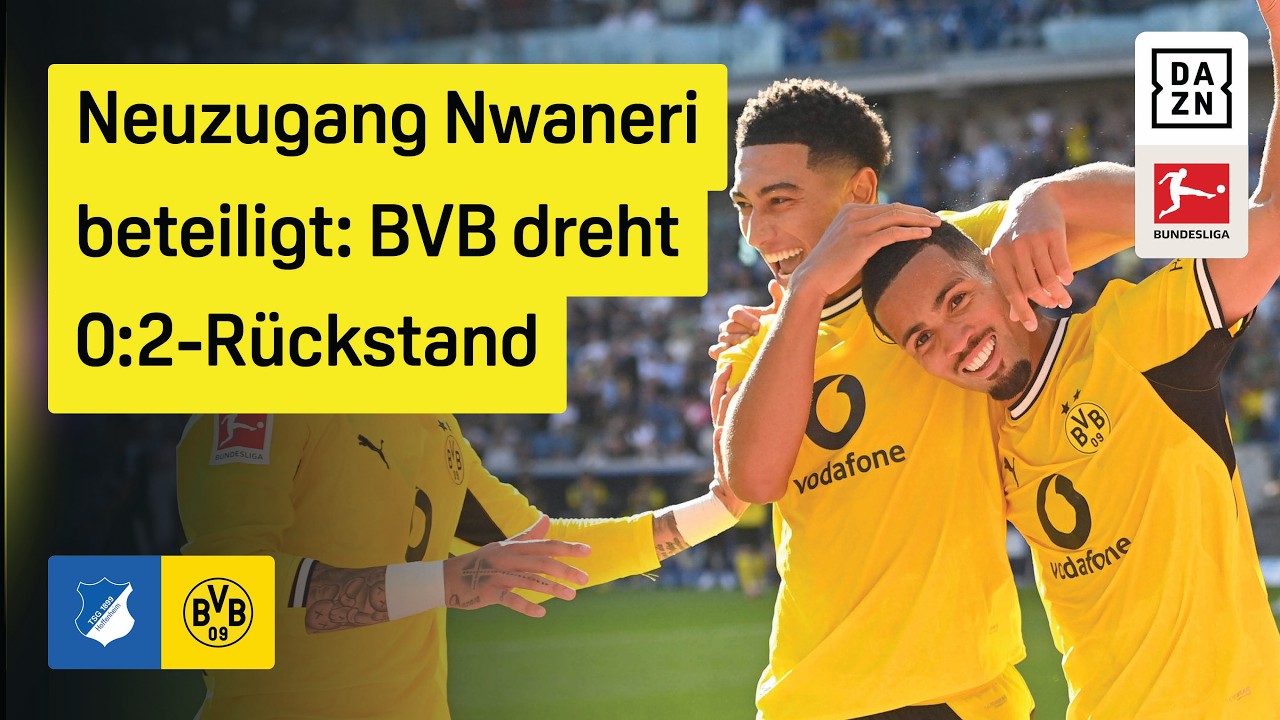 TSG 1899 Hoffenheim 2 - 3 Borussia Dortmund highlights