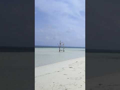 Beach View😍🏝️#shorts #trending #viral #instagram
