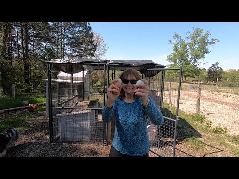 TMS Healing Wall of Victory - Testimonial Block #28 - Patti