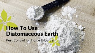 How To Use Diatomaceous Earth | Home & Garden Pest Control