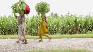 CARREGANDO A CRUZ.    ( Reflita a respeito!)