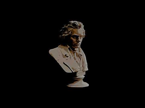 Piano Sonata No. 14 Mondscheinsonata (Official Video)