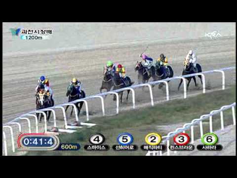 2010 Mayor of Gwacheon City Cup - Magic Party