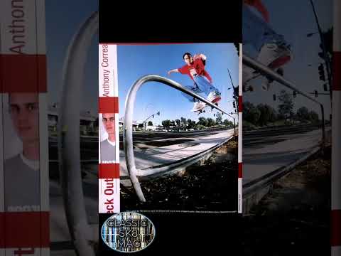 Appleyard Correa Pappalardo - Rookies