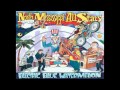 North Mississippi Allstars No Mo HD YouTube 