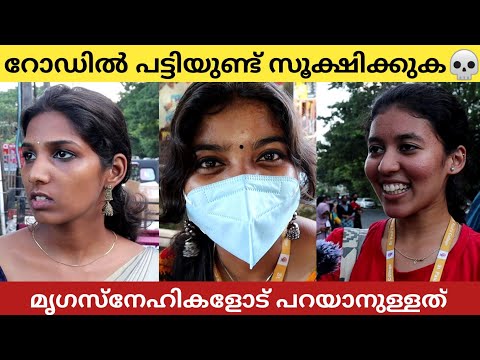 തെരുവ് നായകൾ നാടിന് ആപത്തോ? Are stray dogs a danger to the country?