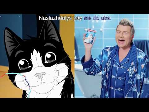 Russian cat food ad [Felix] [Baskov & Kirkorov - Meat or Fish] [sub] [karaoke]