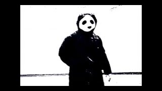 Panda Paranoico - Terror (Parte 3)