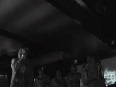 Pure vs FreeGame Cane