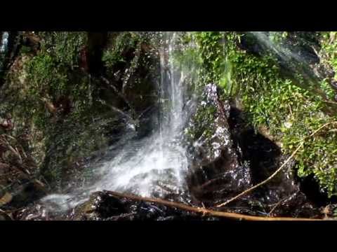 Heidenrod - Wilde Natur im Wispertal