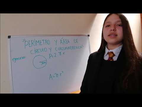 Video Tutorial Paloma Illanes