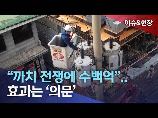 까치와의 전쟁..예산 늘고 효과 적어