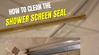 HOW TO CLEAN THE SHOWER SCREEN  SEAL | SHOWER SCREEN DEEP CLEAN