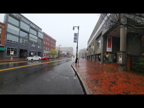 Suffering in Paradise by Lasse Lynx and Christine Smit - A Music Video