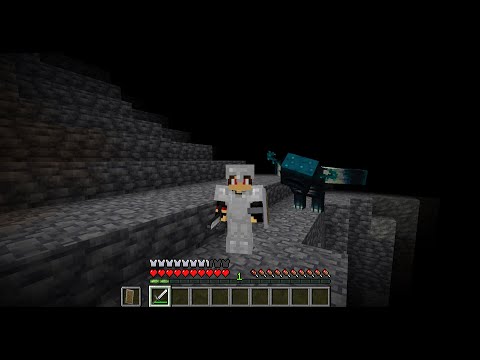 STRAVANILLA EP.6: HO QUASI SVEGLIATO IL WARDEN