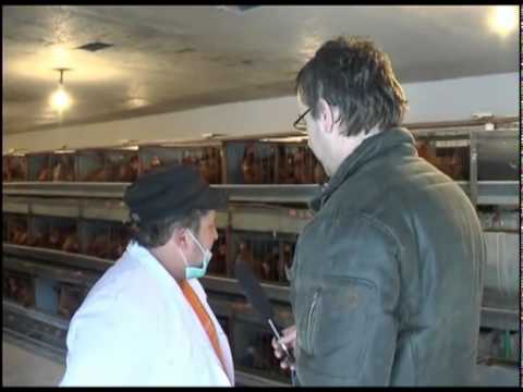 cetvrtkom kod ocnog 1 2011