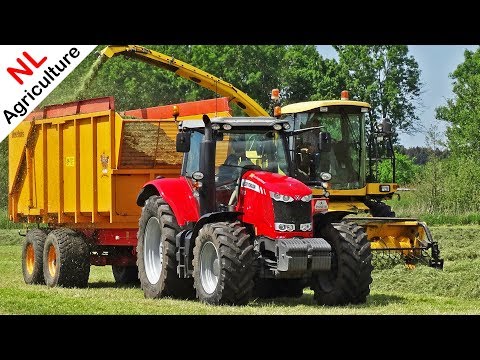 Grass silage | New Holland + Massey Ferguson + Volvo | Gras hakselen | Kamphorst | Ermelo | 2018