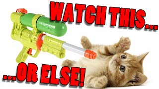 18 Cats & A Heron - My First Intro To Bikes - Pesky In-laws