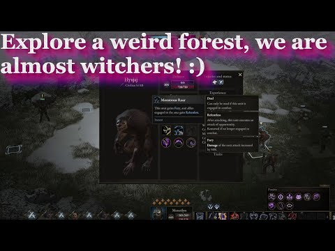 WarTales The Curse of Rigel Dlc - Big new update - New Region and items - Werewolf class and more