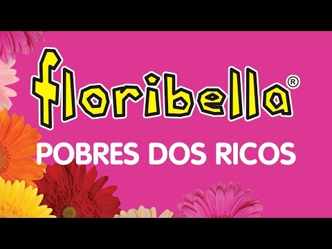 Pobres dos ricos - Floribella ( audio oficial )