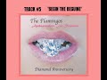 Terry Isaiah Johnson & The Flamingos - Begin The Beguine
