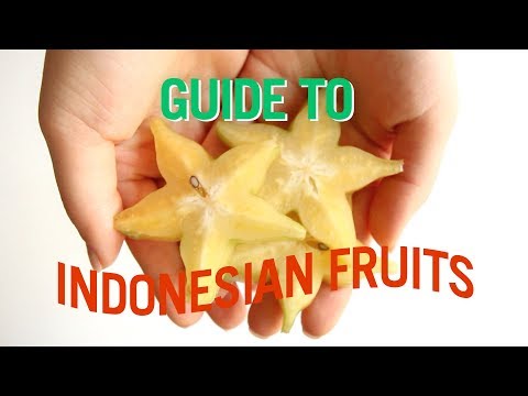 download lagu mp3 mp4 List Of Indonesian Fruits, download lagu List Of Indonesian Fruits gratis, unduh video klip List Of Indonesian Fruits