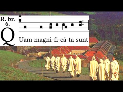 Quam magnificata sunt (responsorium breve)