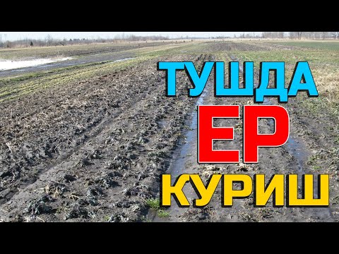Туш табири - Тушда ер куриш