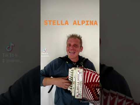 STELLA ALPINA