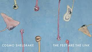 Cosmo Sheldrake - The Feet Are The Link