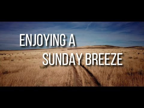 Enjoying a Sunday Breeze