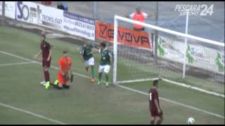 preview picture of video 'Avellino - Venezia 2-0 Highlights'