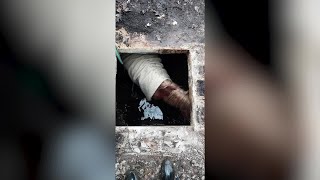 Huron County horse rescued after falling into small hole
