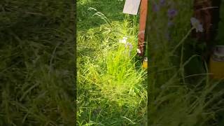 mqdefault - Galeria Video