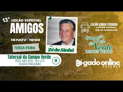 🌟LEILÃO ESPECIAL AMIGOS DO ZÉ DO SINHÔ - IGARATINGA/MG🎥