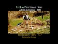 01 Archie Fire Lame Deer à Labaroche France Novembre1986