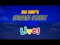 Big Bird S Sesame Street Playdate Stage Show