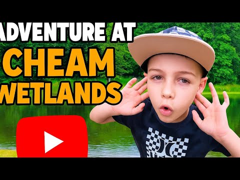 Kid Explorer Takes Over at Cheam Wetlands! 🎥😂