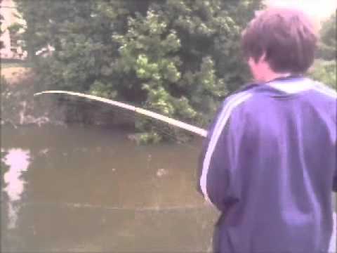 Siluro di 7 kg a Ferrara