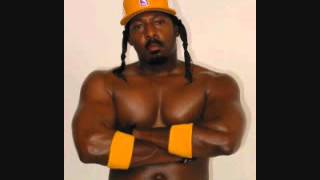 Celly Cel - what u niggaz thought