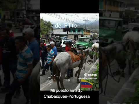 municipio monseñor José vente de unda . paraíso de Chabasquen!!