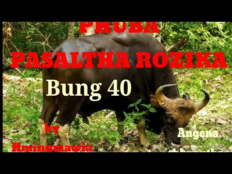 PHUBA PASALTHA ROZIKA 40