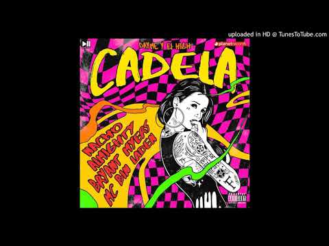 NACHO ❌ BRYANT MYERS ❌ DAYME Y EL HIGH ❌ MC BIN LADEN ❌ ALMIGHTY - Cadela